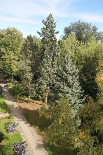 شقة من غرفتين متاحة للسكن فورًا في شارع جانبي هادئ، بإطلالة على المساحات الخضراء – Park