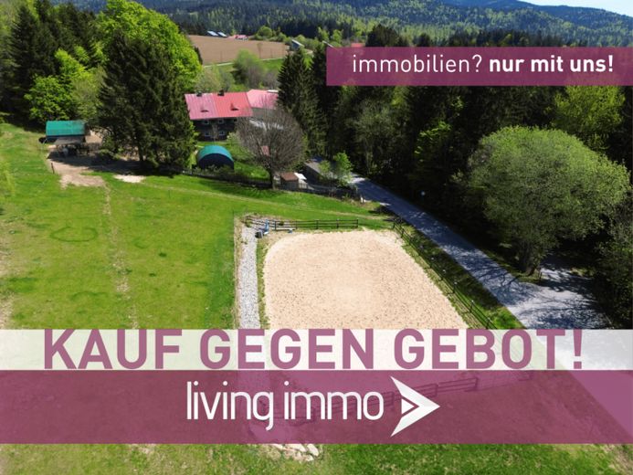 KAUF GEGEN GEBOT! Landhaus für Tierfreunde mit Reitplatz & Pferdestall – Neureichenau – Foto 1