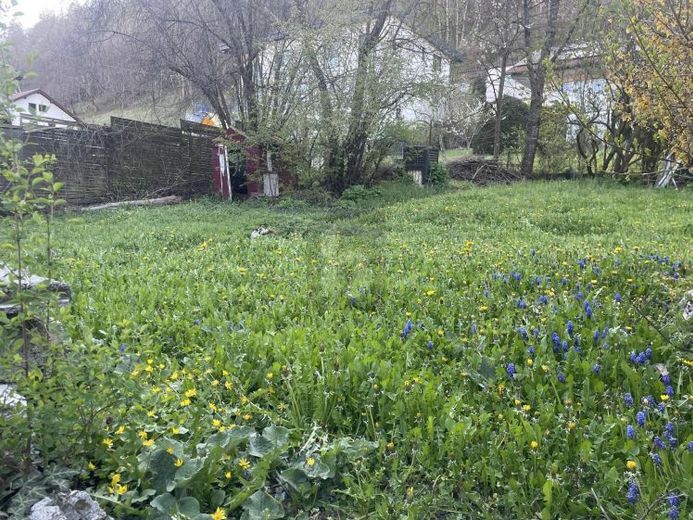 WOHNEN WIE IM EIGENEN HAUS - RUHIG UND GEMÜTLICH – Foto 1