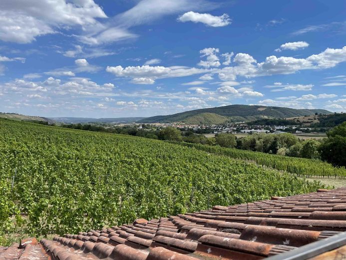Dachfenster Blick nach Osten