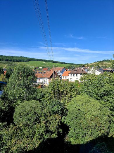 Ausblick auf das 2. Grundstück