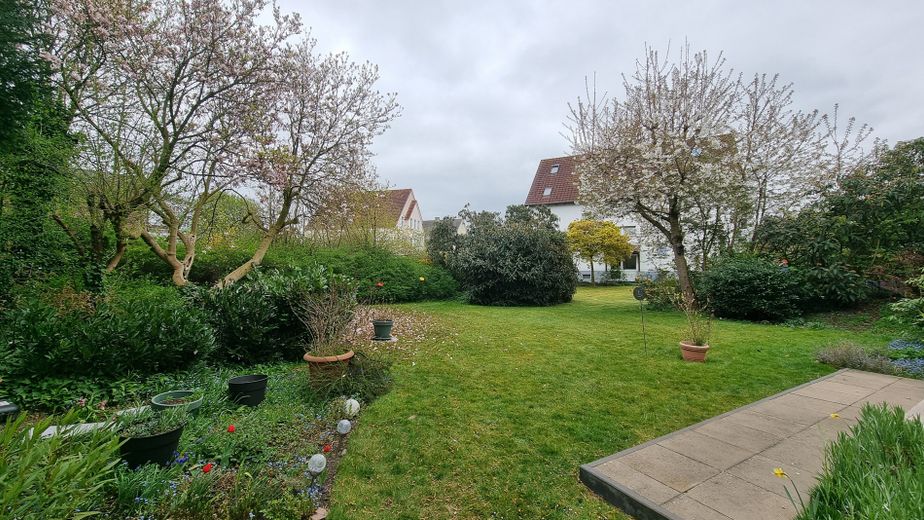 Blick in den Garten