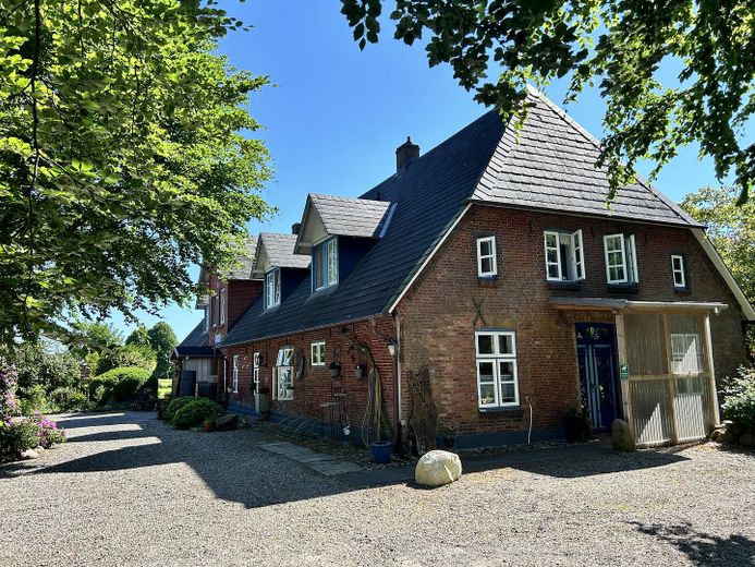 Kopfansicht