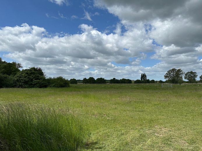 Wiese Wassermühlenweg 