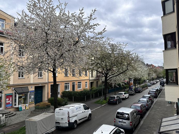 View of the street