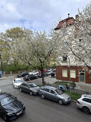 View of the street