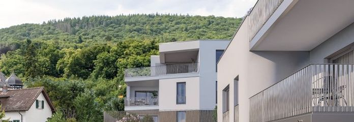 GÉANT D’ESPACE AVEC JARDIN GÉANT 250 m² de surface habitable + 233 m² de jardin privatif dans un emplacement privilégié à Königstein