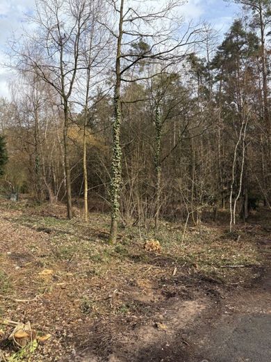 Röttenbach bei Heßdorf sehr schönes Baugrundstück mit ruhiger Waldrandlage – Baugrundstück Röttenbach 008