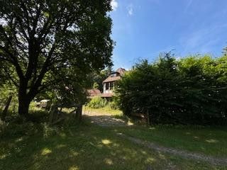 altes Forsthaus, Nebengebäude, 7600qm Grundstück, teilbar in 4 Baugrundstücke einzeln erwerbar – Foto 23