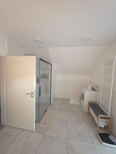 KFW 40+ Haus, wohnen mit Charakter: Freistehendes Einfamilienhaus in Lambsheim – Bad Vollansicht