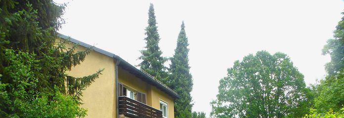 Gepflegtes Einfamilienhaus mit großem Garten – Blick vom weitläufigen Garten