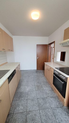 Renovierte 3 Zimmer Wohnung mit Einbauküche – Küche