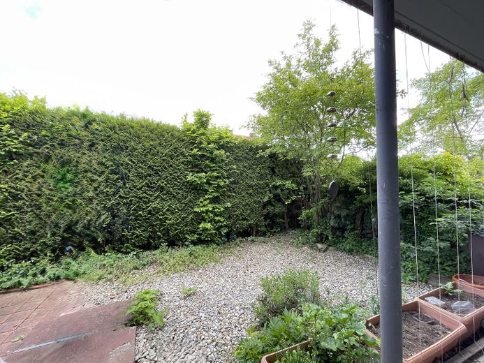 Garten 2