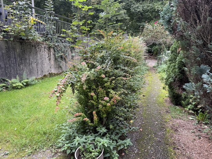 Bilocale con cucina, bagno e giardino, Solingen-Wald, ai margini del bosco, ristrutturato, su richiesta con cucina componibile a un piccolo prezzo – Foto 17