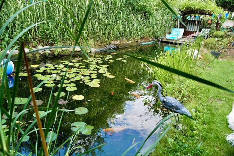 Gartenteichanlage