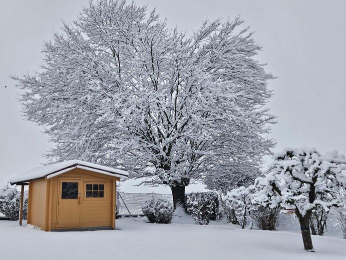 Komfortables Einfamilienhaus mit gepflegtem Garten in ruhiger, unverbaubarer Lage – Winterimpression