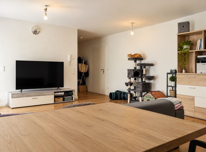 Luminoso appartamento seminterrato di 2 locali – in un tranquillo quartiere residenziale – Foto 2