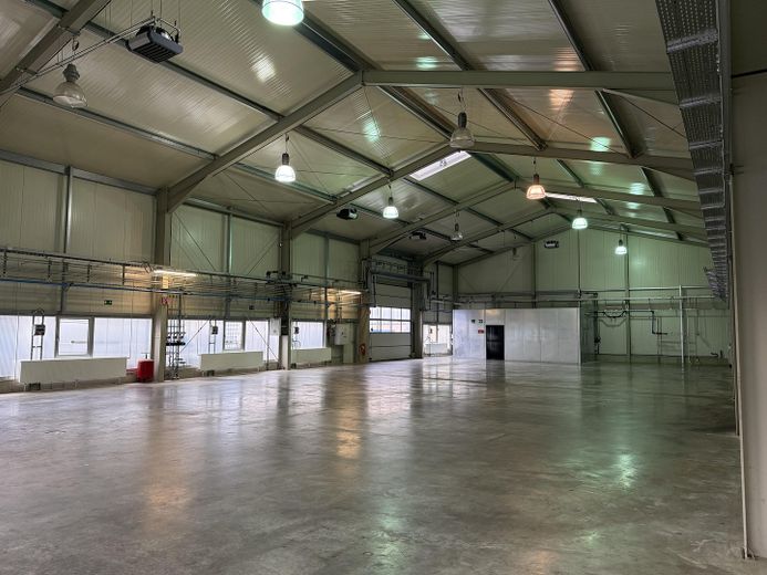 Moderne freitragende Halle mit Bürofläche zu vermietenm, Mühllach, Röthenbach – Foto 2