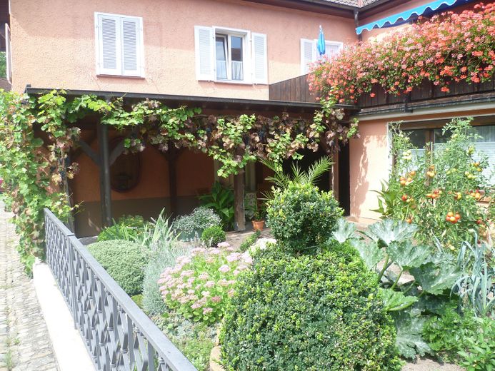 Möblierte Wohnung auf Zeit in der Altstadt von Staufen – Foto 8