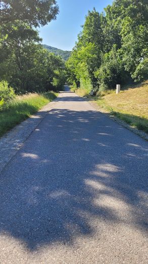 Umfeld