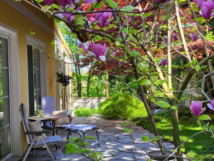 Garten 1
