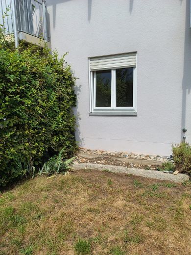 Gartenblick auf SZ-Fenster