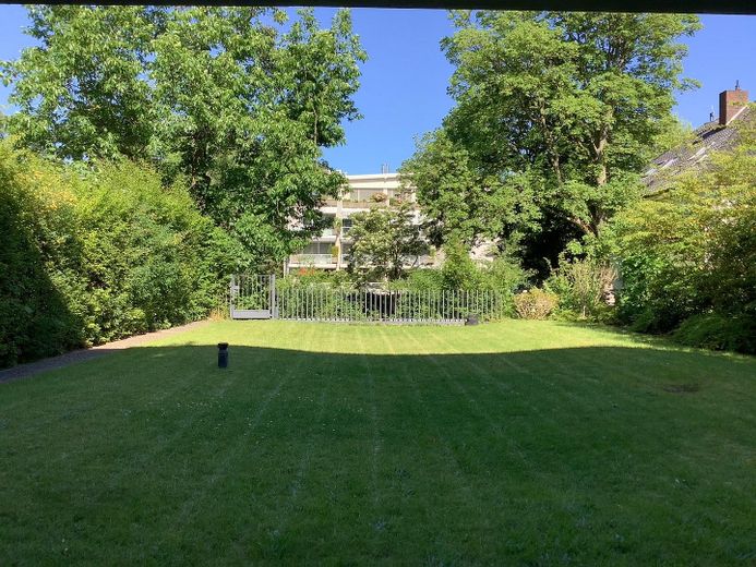 Blick in den Garten