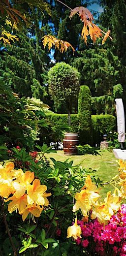 Sommergarten