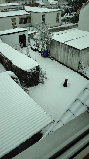 Ausblick in den Garten