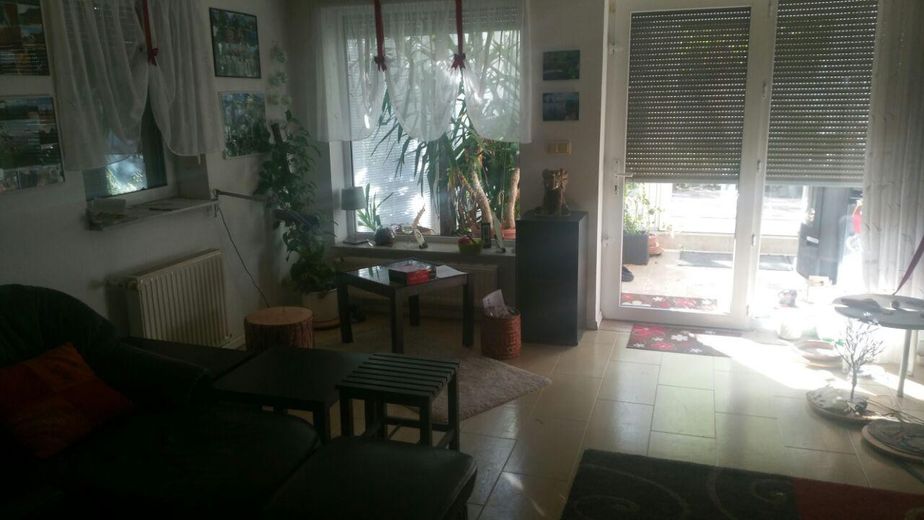 Erdgeschoßwohnung im EFH/ZFH mit Terasse/Garten – Foto 1