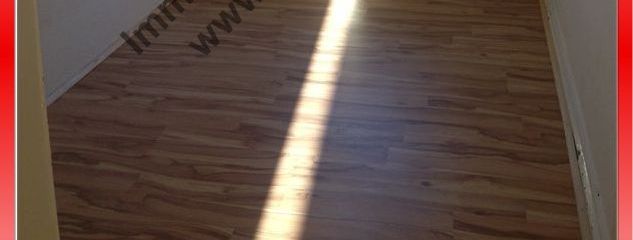 IMG_2918