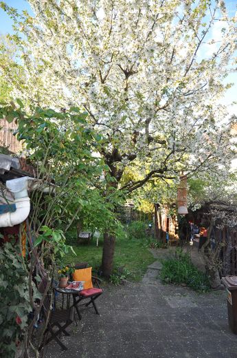 Blick in den Garten