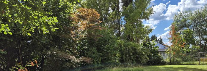 Einzigartige Gartenwohnung in Hanglage: Komfortable 2 Zimmer mit 150 m² exklusiver Gartennutzung