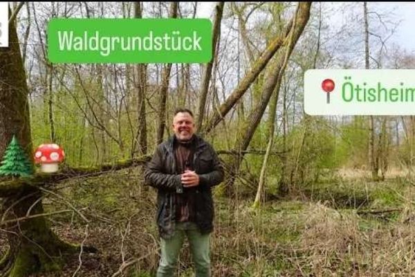 Działka leśna w Ötisheim – interesująca inwestycja w realne aktywa dla inwestorów kapitałowych