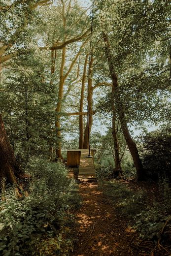 verwunschener Spielhain