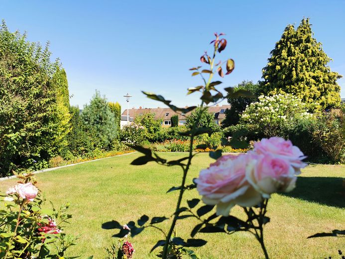 Gepflegter Bungalow mit parkähnlichem Garten – Garten