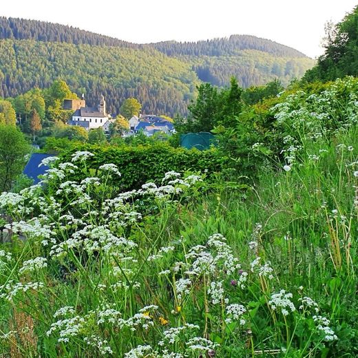 Nordenau im Frühling