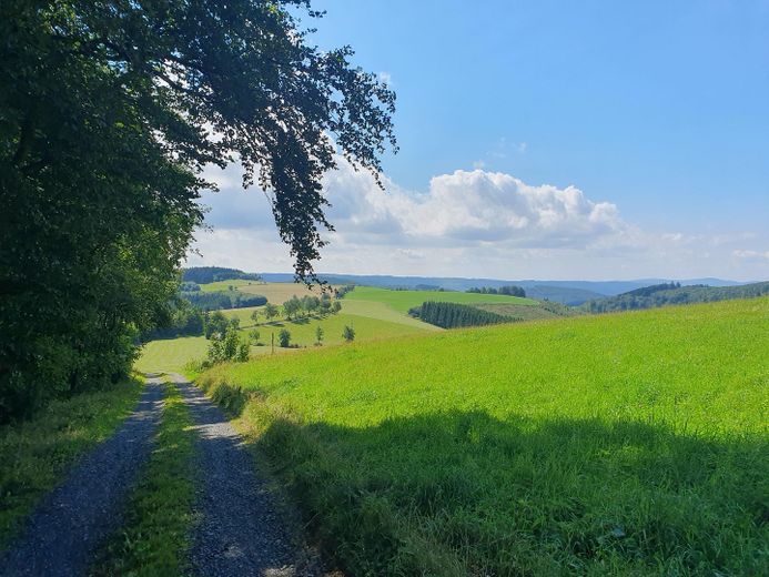 Wanderweg in der Umgebung