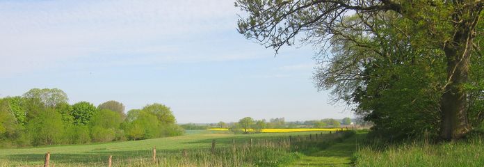Blick in die Ferne