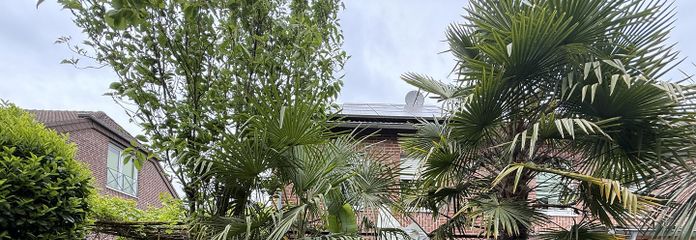 Ansicht Garten Südseite