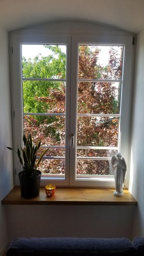 Aussicht in die Natur.