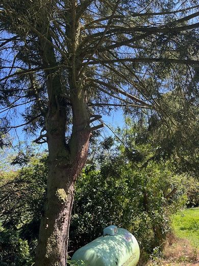 Satılık, boşaltılmış müstakil evli, tamamlanmaya hazır, rüya gibi bahçe arsası – Foto 8