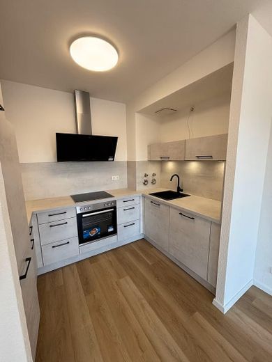 Renovierte 2 Zimmer Wohnung mit Loftfeeling in Pankow / Französisch Buchholz – Küche Rechts mit Spüle und GS