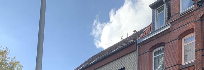 Frontalansicht von der Strasse