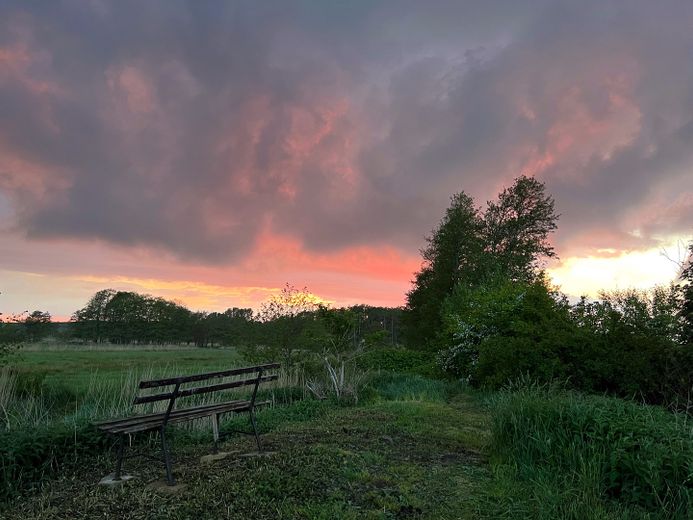 Ferieninvestment + Lebensperspektive + Land auf Rügen – Blick über Flstk. 92