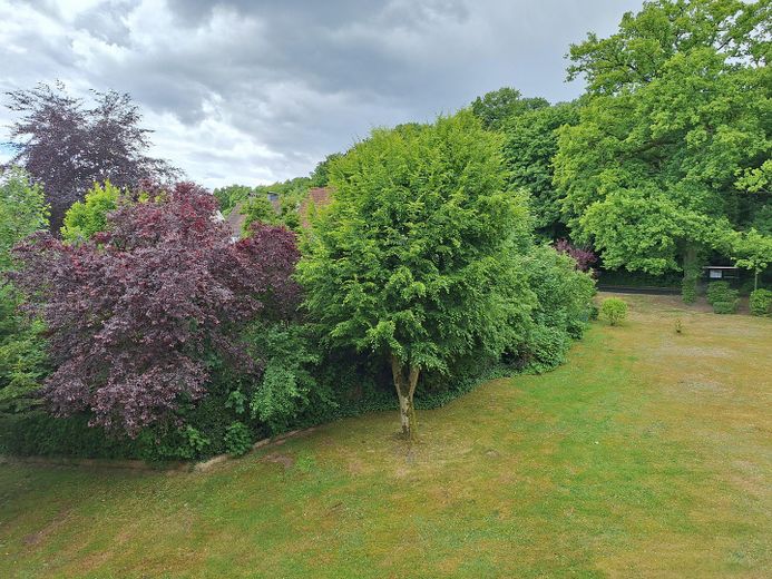 Aussicht vom Balkon