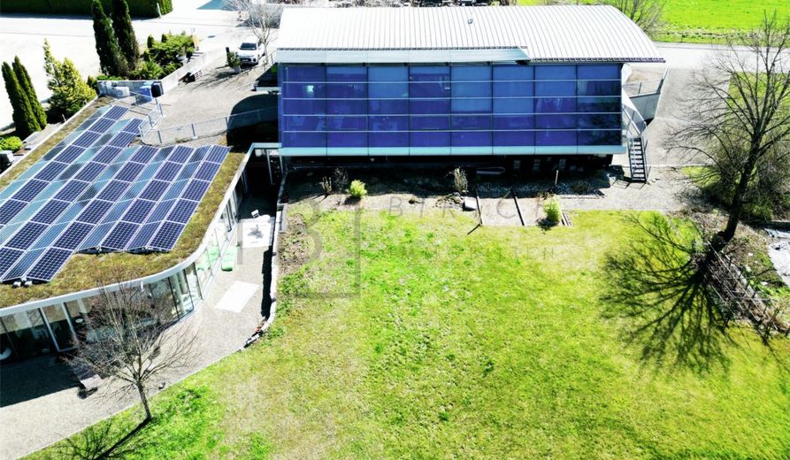 Modern. Flexibel. Repräsentativ. - Büro- und Gewerbefläche mit Weitblick – Gartenansicht