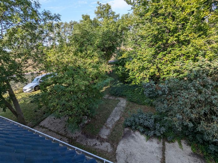 Garten zur Straße hin