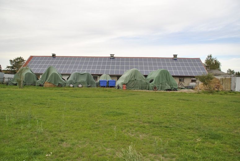 Marlow-OT, Reitanlage + Blockhütten in Ostseenähe – Foto 1