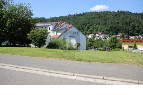 POSIZIONE IDILLIACA CON VISTA SUL NECKAR